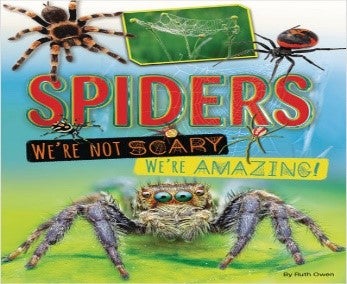 Spiders book cover