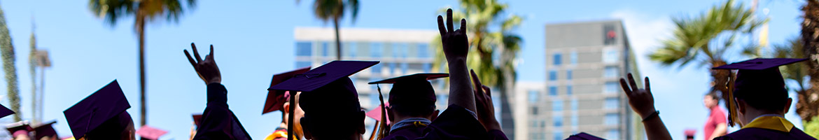 Undergraduate Advising