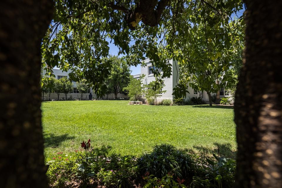 A clandestine view from inside the Secret Garden. Photo by Charlie Leight/ASU.