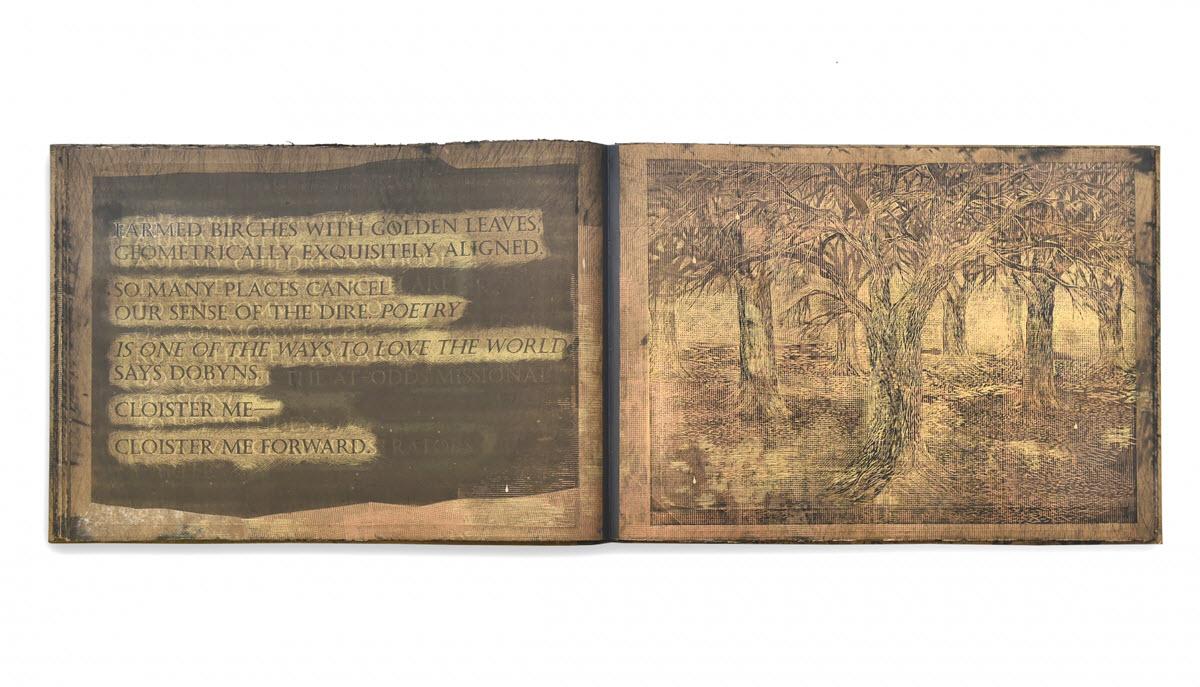 A page from the artist's book "Hold" by Sally Ball and Jan Vicar